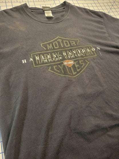 Vintage 00's Harley Davidson Tee